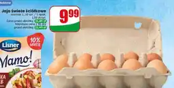 Dino Jaja świeże ściółkowe oferta