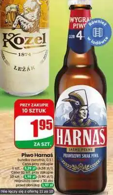 Dino Piwo HARNAŚ oferta