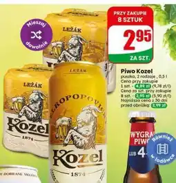 Dino Piwo** KOZEL oferta