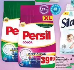 Dino PERSIL color oferta