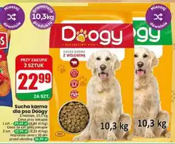 Dino Sucha karma dla psa Doogy oferta