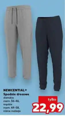 Kaufland NEWCENTIAL Spodnie dresowe oferta