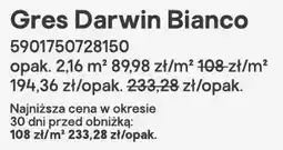 Castorama Gres Darwin Bianco oferta