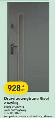 Castorama Drzwi zewnętrzne Risel z szybą oferta