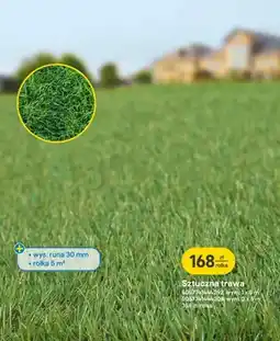 Castorama Sztuczna trawa rolka oferta