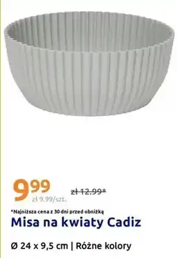 Action Misa na kwiaty Cadiz oferta