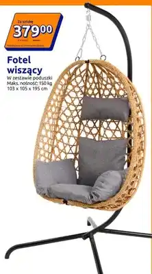 Action Fotel wiszący oferta