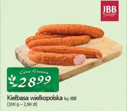 Cezar Delikatesy Kiełbasa wielkopolska jbb oferta