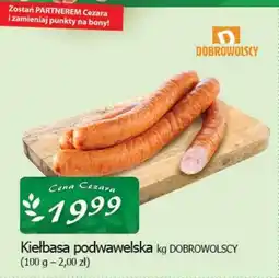 Cezar Delikatesy Kiełbasa podwawelska dobrowolscy oferta