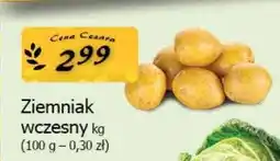 Cezar Delikatesy Ziemniak wczesny oferta