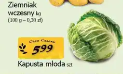 Cezar Delikatesy Kapusta młoda oferta