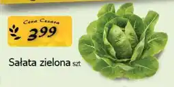 Cezar Delikatesy Sałata zielona oferta