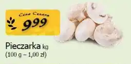Cezar Delikatesy Pieczarka oferta