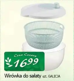 Cezar Delikatesy Wirówka do sałaty galicja oferta