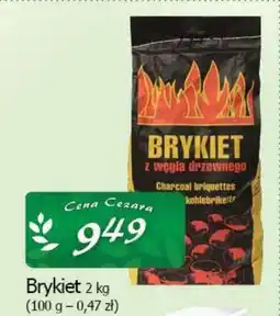 Cezar Delikatesy Brykiet oferta
