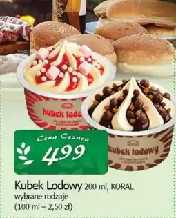 Cezar Delikatesy Kubek lodowy koral oferta