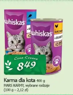 Cezar Delikatesy Karma dla kota mars karmy oferta