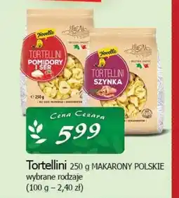 Cezar Delikatesy Tortellini makarony polskie oferta