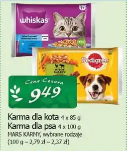 Cezar Delikatesy Karma dla kota / karma dla psa mars karmy oferta