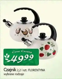 Cezar Delikatesy Czajnik florentyna oferta