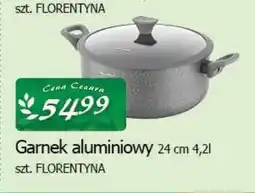 Cezar Delikatesy Garnek aluminiowy 24 cm 4,2 l florentyna oferta