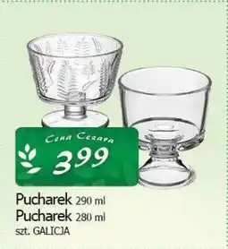 Cezar Delikatesy Pucharek 280/290 ml galicja oferta