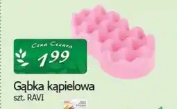 Cezar Delikatesy Gąbka kąpielowa ravi oferta