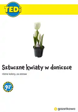 Tedi Sztuczne kwiaty w doniczce oferta