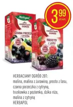 Pokusa Herbapol Herbaciany Ogród oferta