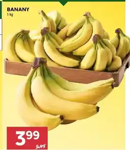 Stokrotka Banany oferta