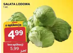 Stokrotka Sałata lodowa oferta