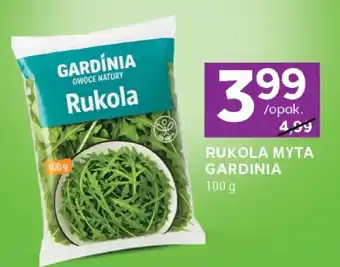 Stokrotka Rukola myta Gardinia oferta