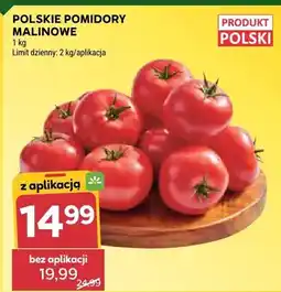 Stokrotka Pomidory malinowe polskie oferta