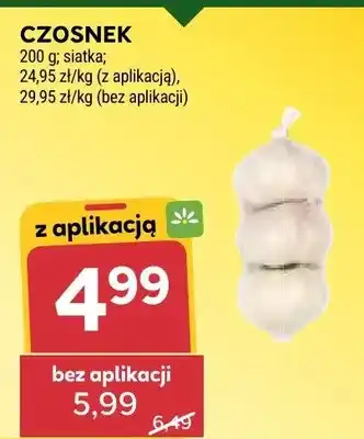 Stokrotka Czosnek oferta