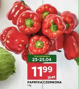 Stokrotka Papryka czerwona oferta