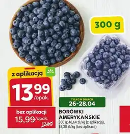 Stokrotka Borówki amerykańskie oferta