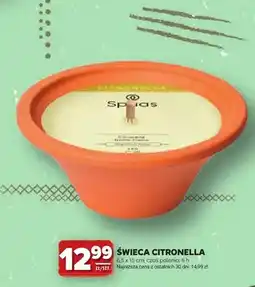 Stokrotka Świeca Citronella Spuas oferta
