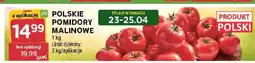 Stokrotka Pomidory malinowe polskie oferta