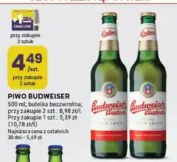 Stokrotka Piwo Budweiser Budvar oferta