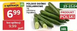 Stokrotka Ogórki szklarniowe polskie oferta