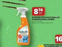 Stokrotka Płyn do zatłuszczonych powierzchni Ludwik Active Foam oferta
