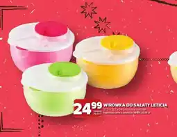 Stokrotka Wirówka do sałaty Leticia oferta