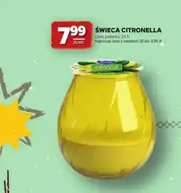 Stokrotka Świeca citronella czas palenia 25h oferta