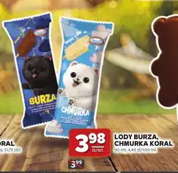 Stokrotka Lody Burza Koral oferta