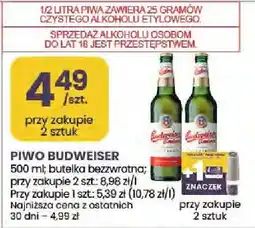 Stokrotka Piwo Budweiser oferta