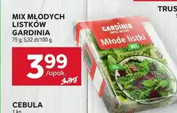 Stokrotka Mix młodych listków Gardinia oferta