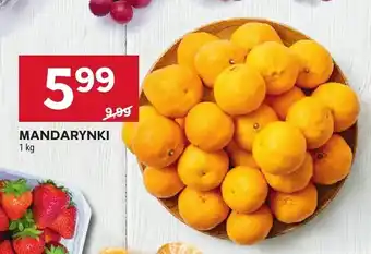 Stokrotka Mandarynki oferta