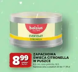 Stokrotka Zapachowa świeca Citronella w puszce Bolsius Everyday oferta