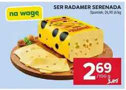 Stokrotka Ser Radamer Serenada Spomlek oferta