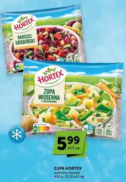 ABC Zupa wiosenna 9-składnikowa mrożona Hortex oferta